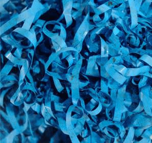 Glenda León : un ruido azul