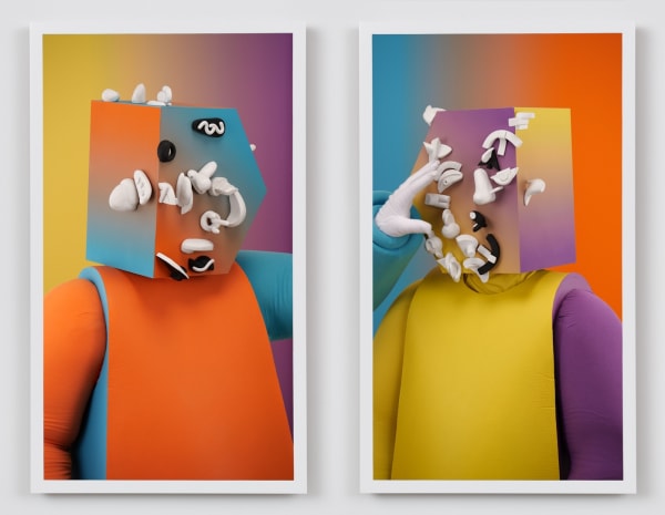 Brian Bress, Organizing The Physical Evidence (Gradients on Gradients), 2018