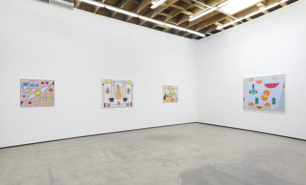 Hc 1905 Install View2