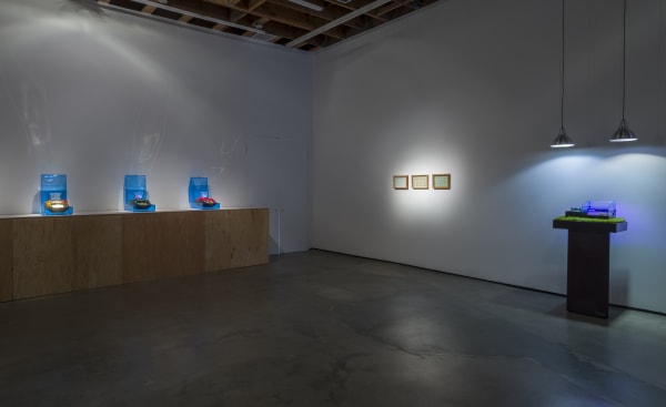 Cheng Install 24 Jmc Lg