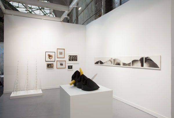 Fiac2015 Install View5 Other Lg