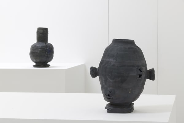 Asm 1911 Pmg Installview30 Jmc Lg