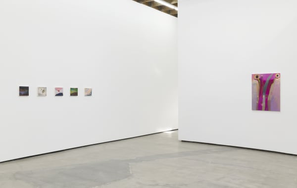 Kl 2001 Pmg Installationview6 Jmc Lg