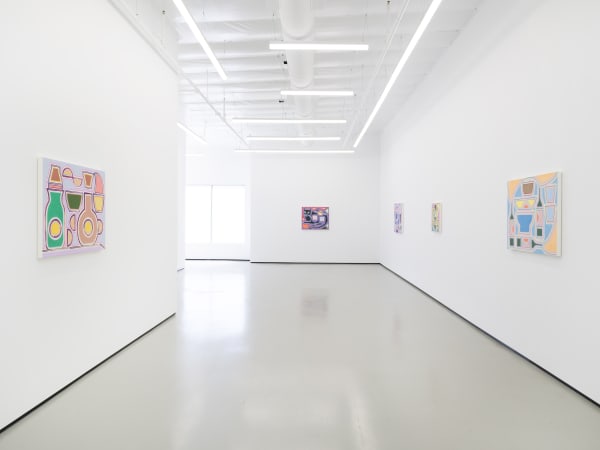 Hc 2023 Pmginstall5 Jmc Lg