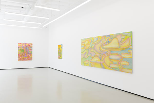 Ln Install02 Pmg 09 2023