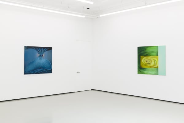 Kl 2023 Pmginstall9 Rd Lg