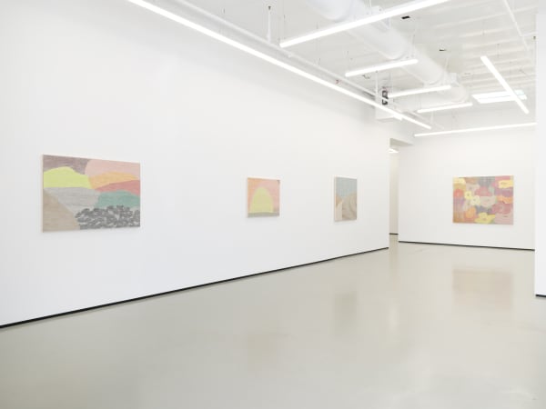 Cmat 2024 Pmginstall06 Jmc Lg