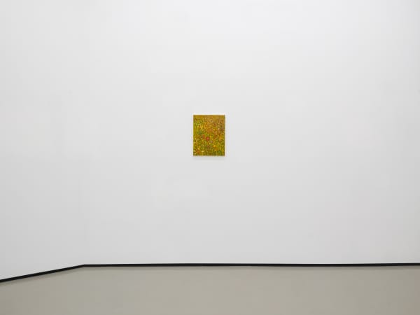 Sg Pmg 2025 Install11 Jmc Lg