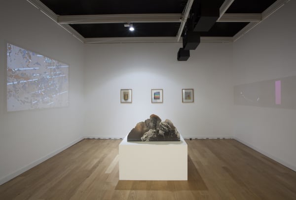 Fiac 2014 View5 Pellion Otherlg