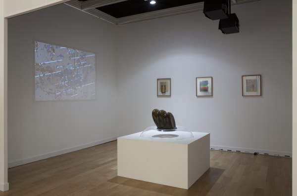 Fiac 2014 View8 Pellion Otherlg