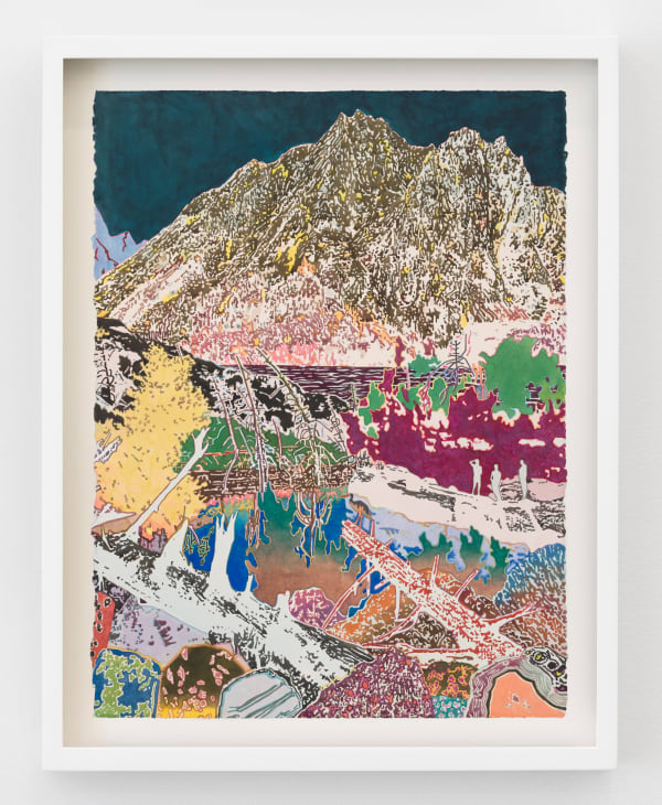 Aaron Morse - Wilderness, 2025
