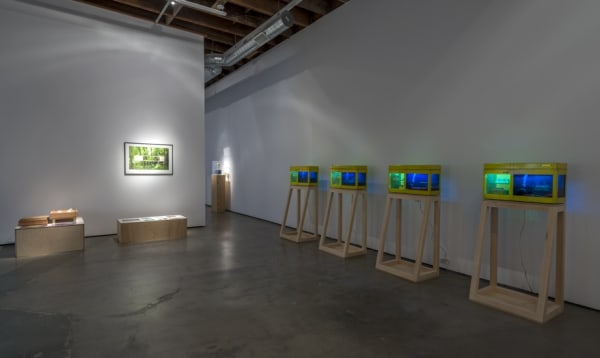 Nature is Everything - Everything is Nature