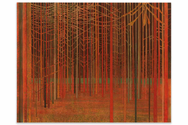 Sky Glabush: The letters of this alphabet were trees , Stephen Friedman Gallery