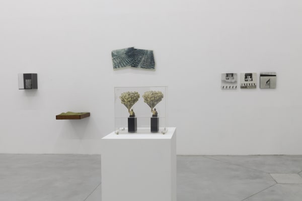 The Photographic Object 1970 at Le Consortium Museum