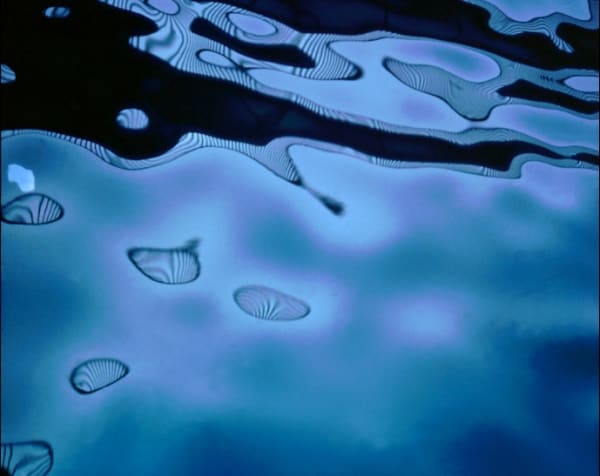 Art + Tech: Walking Tour of La Brea Tar Pits and Carl Cheng's Tar Pool Project