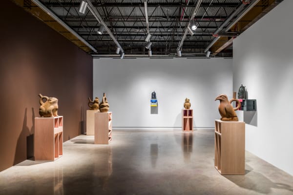The Sorcerer's Burden: Contemporary Art and the Anthropological Turn, The Contemporary Austin (installation view). Image courtesy the artist and The Contemporary Austin.