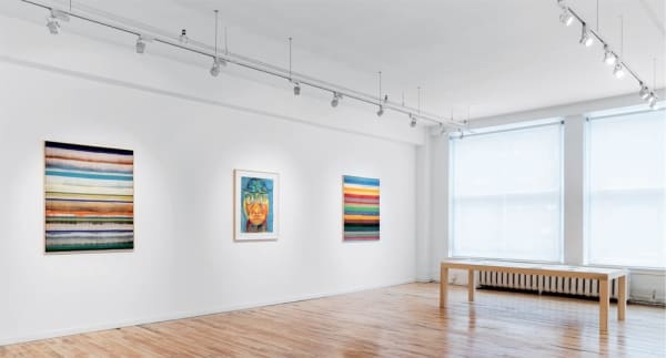 Image-Grappler: Sky Glabush and the Art of Self-Interrogation