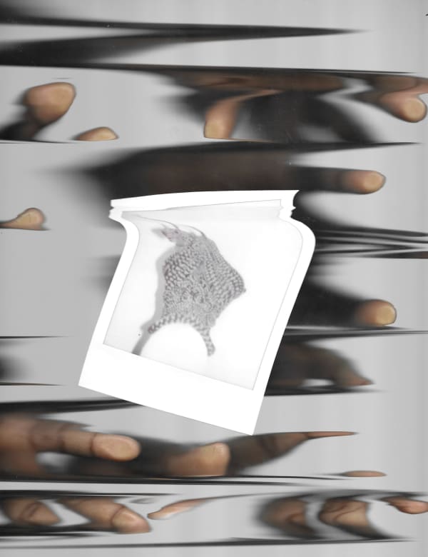 Joanne Petit-Frère featured in "From the Limitations of Now" at Philbrook Museum of Art