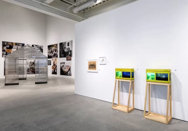 Carl Cheng | The Art Newspaper, 'It's like playing jazz': Carl Cheng reflects on his ecological investigations at the ICA...
