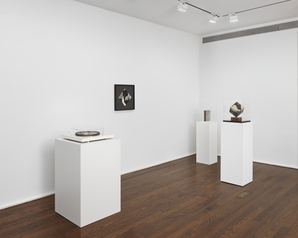 The Photographic Object, 1970 (2014) (installation view). Courtesy the artist and Hauser & Wirth, New York.