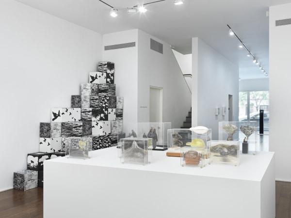 The Photographic Object, 1970 (2014) (installation view). Courtesy the artist and Hauser & Wirth, New York.