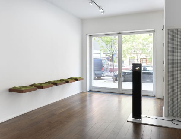 The Photographic Object, 1970 (2014) (installation view). Courtesy the artist and Hauser & Wirth, New York.