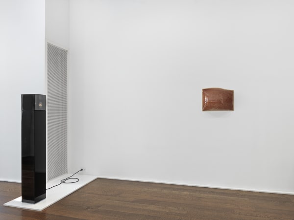 The Photographic Object, 1970 (2014) (installation view). Courtesy the artist and Hauser & Wirth, New York.