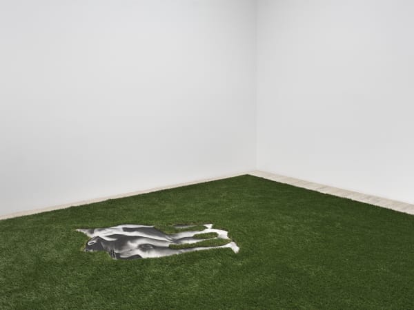 The Photographic Object, 1970 (2014) (installation view). Courtesy the artist and Hauser & Wirth, New York.