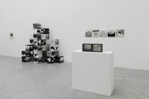 The Photographic Object 1970 (2013) (installation view). Courtesy of Le Consortium Museum, Dijon, France.