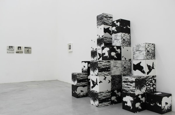 The Photographic Object 1970 (2013) (installation view). Courtesy of Le Consortium Museum, Dijon, France.