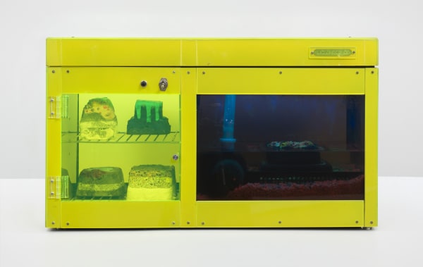 Carl Cheng, Erosion Machine No. 2 (1969). Plexiglas, metal racks and fittings, plastic, water pump, LED lights, black light, pebbles,...
