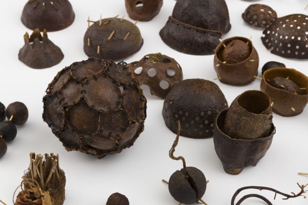 Carl Cheng, Avocado Sculptures (2020). Avocado skins, dimensions variable.