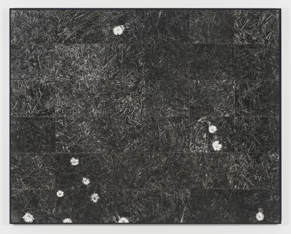 Lew Thomas, GRASS (1973). 36 gelatin silver prints, 47 1/4 x 59 3/4 inches. Image courtesy of the artist and...