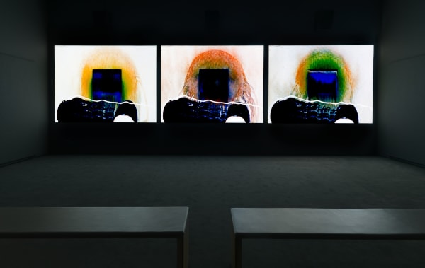 Pat O'Neill, Three Answers (2019) (installation view). Courtesy of San Francisco Museum of Modern Art, CA.