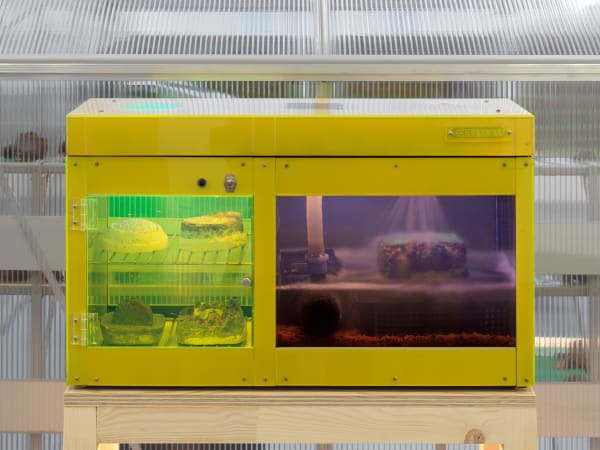 "Potential Worlds 2: Eco-Fictions," (installation view) (2020). Image courtesy of Migros Museum für Gegenwartskunst. Photo: Stefan Altenburger.
