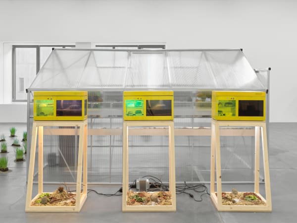 "Potential Worlds 2: Eco-Fictions," (installation view) (2020). Image courtesy of Migros Museum für Gegenwartskunst. Photo: Stefan Altenburger.