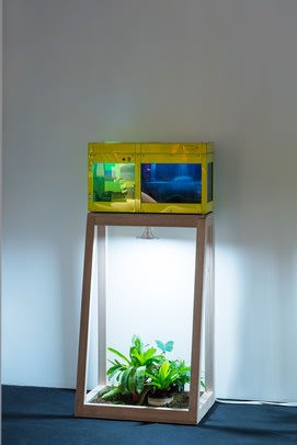 "Emerald City," (2018) (installation view). Courtesy of K11 Art Foundation.