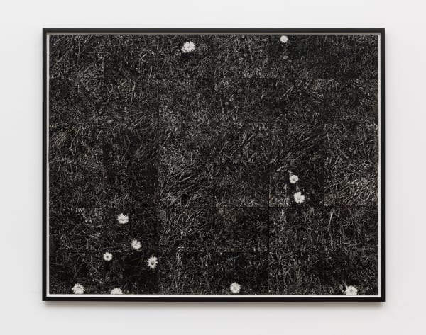 Lew Thomas, “GRASS," (1973).