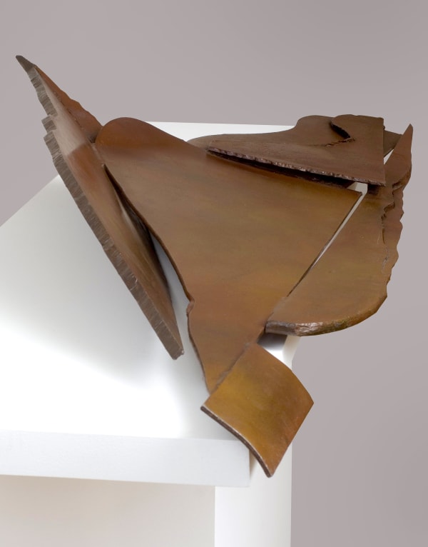 David Anfam | Anthony Caro and John Golding