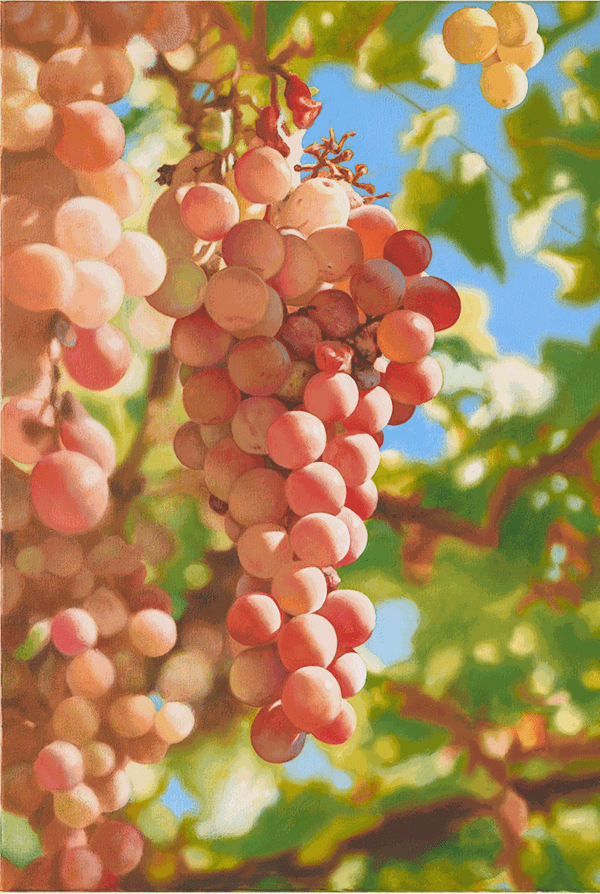 Mustafa Hulusi Cyprus Realism (Verigo Grape 4) Oil on canvas 76 x 51 cm