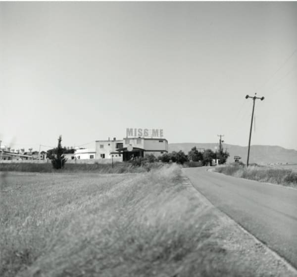 Mustafa Hulusi, Nightclubs in Nature(Detail), 2009