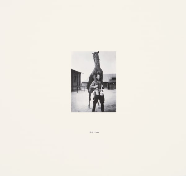 Golden Family:Matt Golden, Centaurs series, 2019