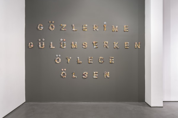 Gözlerime Gülümserken Öylece Ölsen, 2025