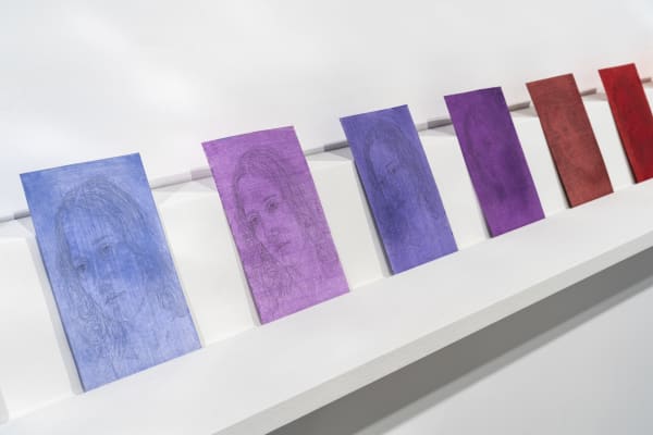 Rugül Serbest, Pantone Serisi, 2025