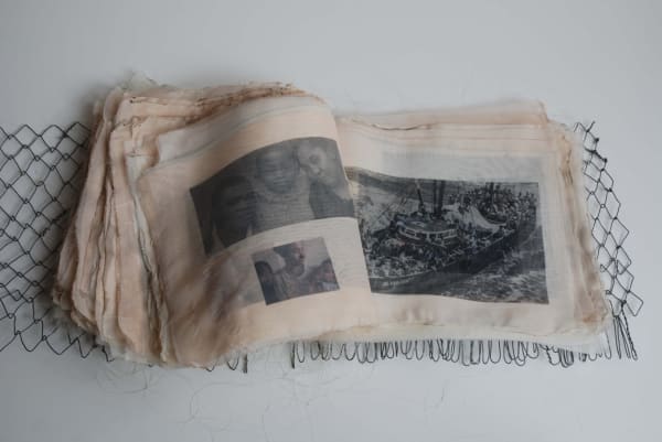 Ipek Duben, Farewell My Homeland, 2004