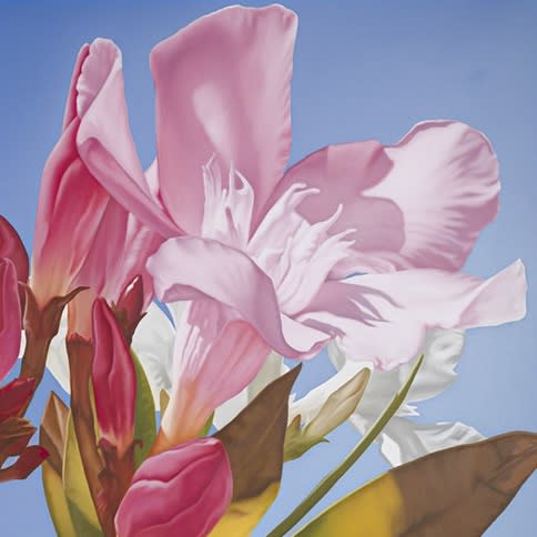 Mustafa Hulusi, Oleander 3 (detail), 2019