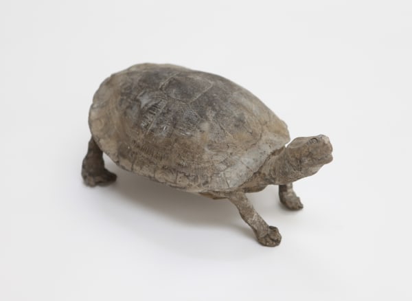 Golden Family:Matt Golden, Untitled (Tortoise), 2015