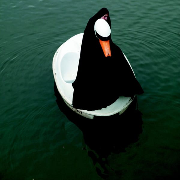 Parastou Forouhar, Swanrider I , 2004