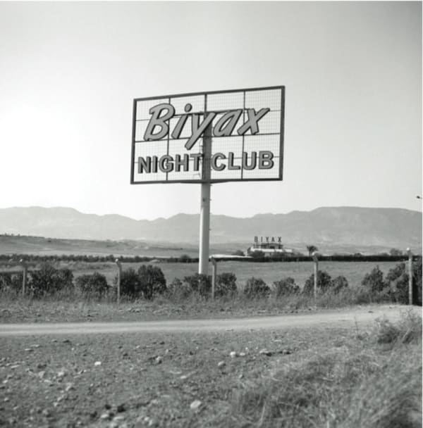 Mustafa Hulusi, Nightclubs in Nature(Detail), 2019