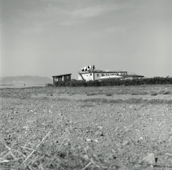 Mustafa Hulusi, Nightclubs in Nature(DETAIL), 2019